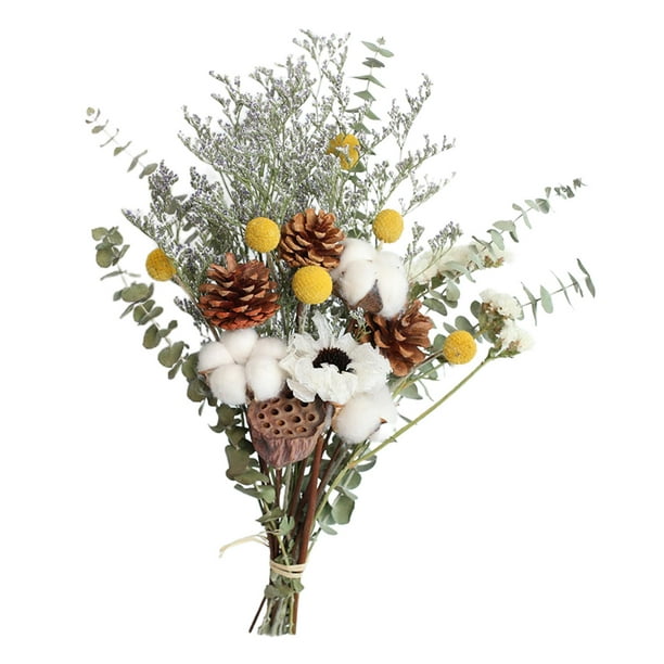 Photo Props Natural Dried Bouquets Plant Stems Eucalyptus Real Flower
